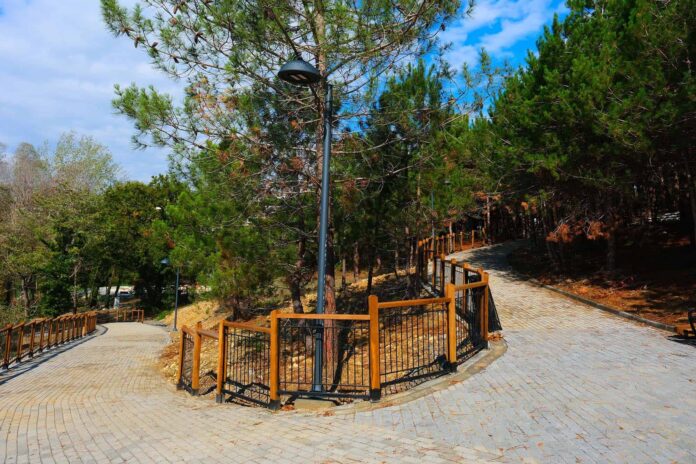 Sakarya’da 23 Nisan Halk Koşusu Huzur Koridoru’nda Farklı Kategorilerle Düzenlenecek