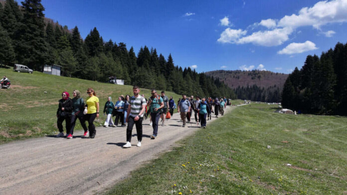 İnönü ve Ercova Yaylalarında Doğa Yürüyüşleri Doğaseverlerle Buluştu